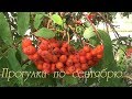 Прогулка по сентябрю