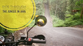 Java. Pure ride.