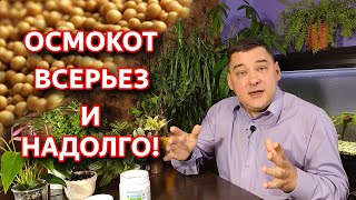 Осмокот - удобрение пролонгированного действия. Как подобрать osmocote для своих растений.