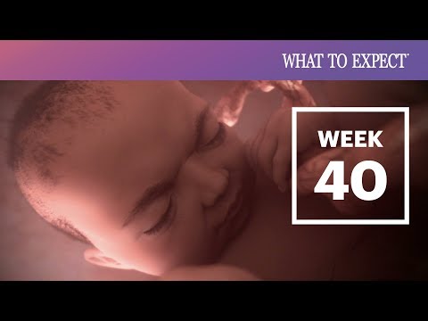 वीडियो: गर्भावस्था के 40 सप्ताह: संवेदनाएं, भ्रूण का विकास