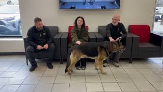 Meet Rodeo: Adoption Tuesday! by Williams Toyota Of Binghamton 11 views 2 months ago 2 minutes, 45 seconds