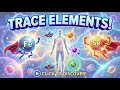 What are Trace Elements? ✨How Trace Elements Power Your Body and Phone Explained!