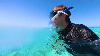 Snorkeling Reefs in Belize