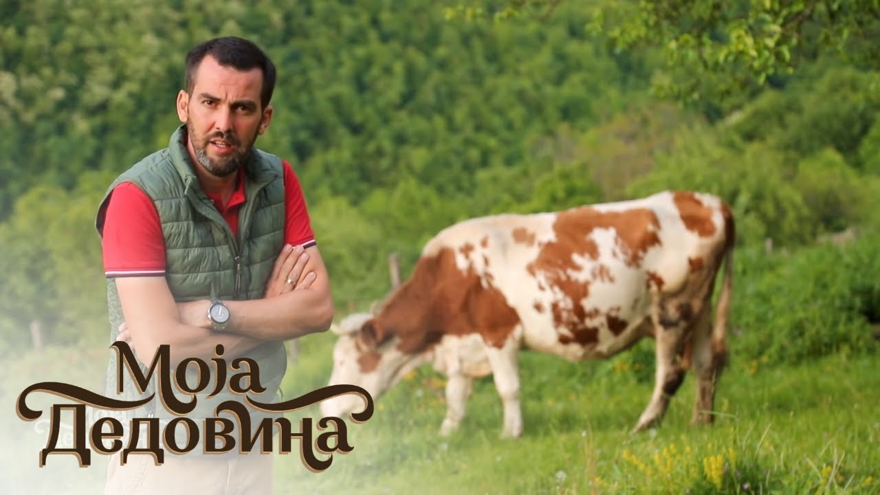 Moja dedovina / 3. emisija / Dedovina na planini Rudnik nije na prodaju!
