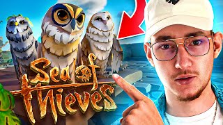 DES CHOUETTES SUR SEA OF THIEVES ?! 🦉