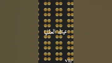 فيديوهات تيك توك اغنية راني مهبل بويا 