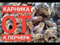 Новые матки от К  Пернера