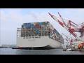 [巨輪進港] 靠泊中的 OOCL BAUHINIA🚢新巴拿馬型貨櫃輪 | 穿裙裙拍船船