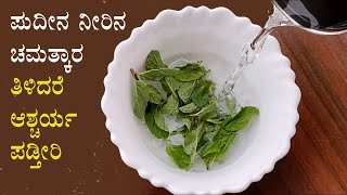 ಪದನ ನರನ ಚಮತಕರ Mint Water Health Benefits Kannada Pudina Neeru