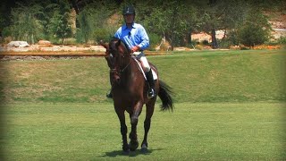 Demystifying the Inside Leg to Outside Rein for Equestrians