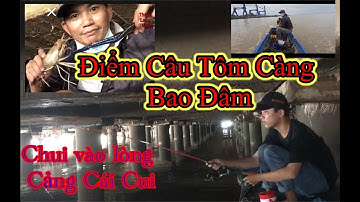 CÁCH CHỌN ĐỊA HÌNH CÂU TÔM CÀNG BAO ĐÂM | CÂU CÁ CẦN THƠ | CÂU TÔM CẢNG CÁI CUI
