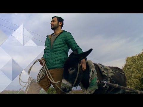 20 ნოემბერს, 12:45 საათზე - \"ფერმა\"