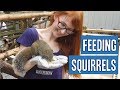 Japan's Squirrel Park!