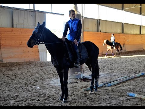 გაკვეთილი კონკურში / მოყვარულის დონე (კონკური - შეჯიბრება დაბრკოლებათა გადალახვაში)