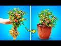 Easy Gardening Tips And Simple Hacks &amp; Tricks To Grow Plants