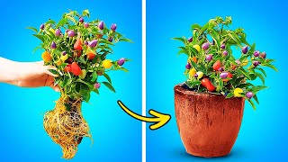 Easy Gardening Tips And Simple Hacks & Tricks To Grow Plants