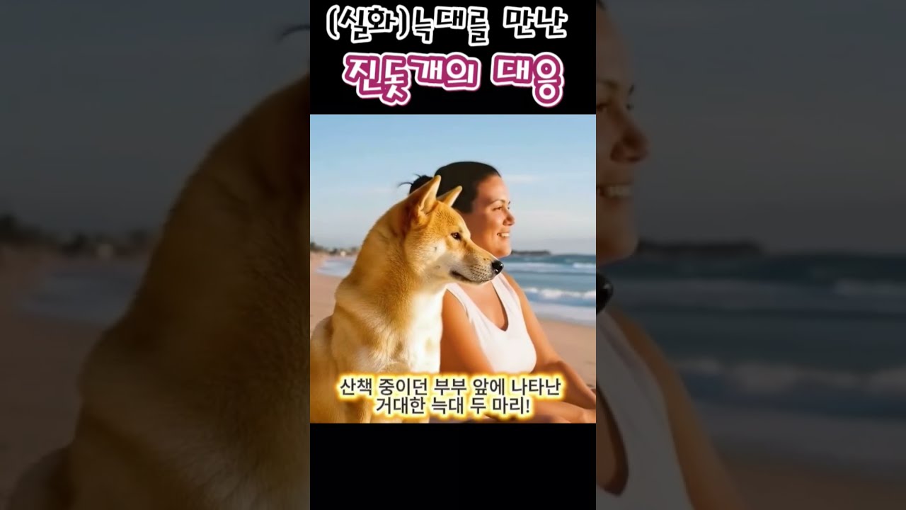 미국 영화 배우 부부가 평생 진돗개만 키우는 이유