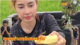 ขอมะม่วงหน่อยนะครับ