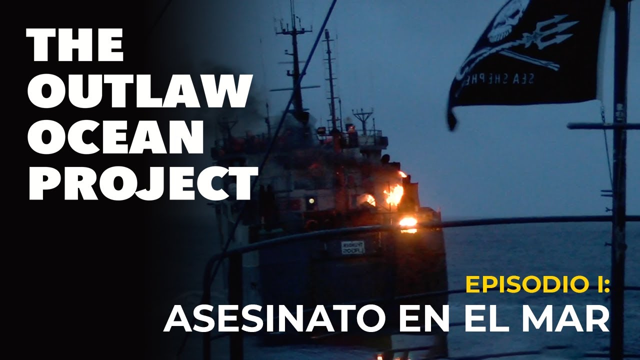 El Desconcierto | https://www.youtube.com/embed/t7ygUheIVWI