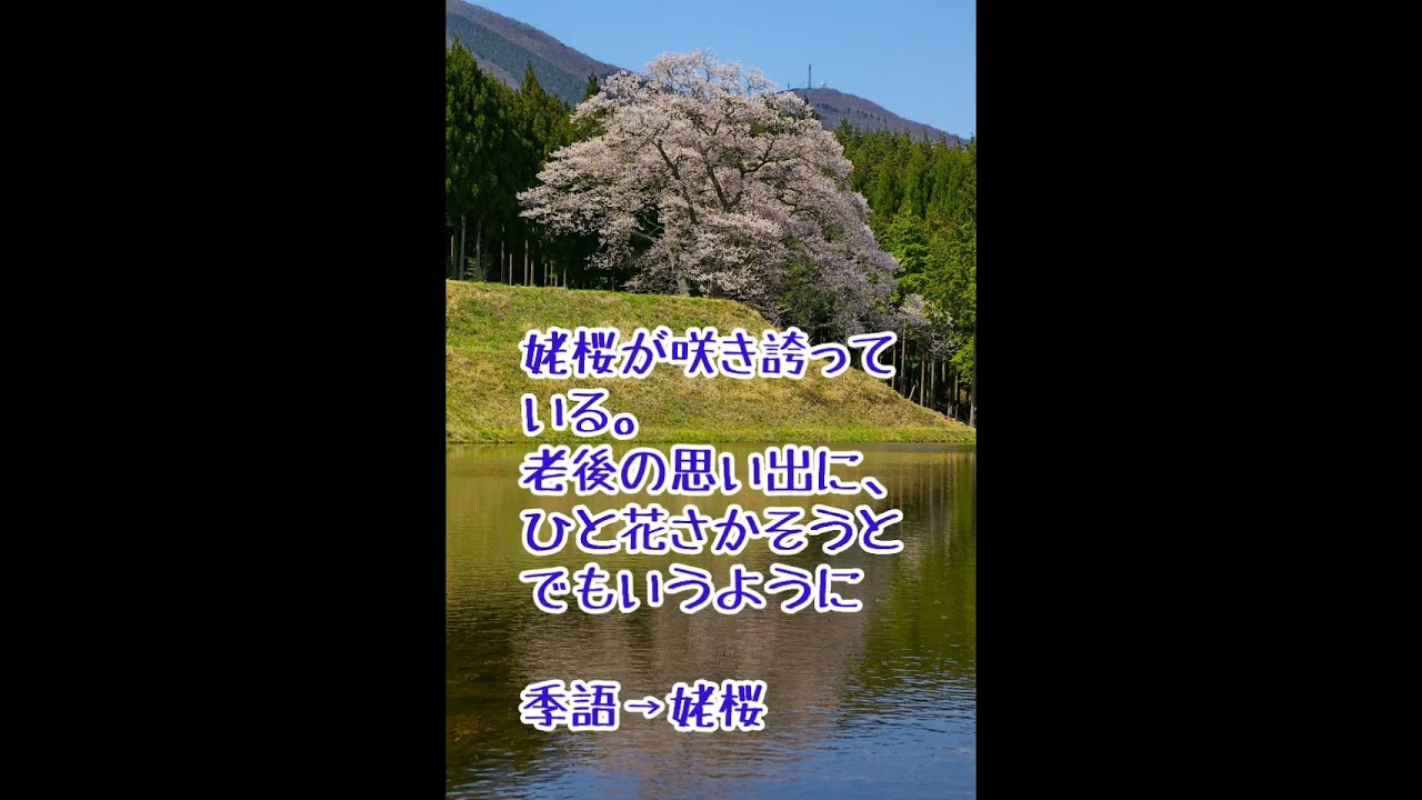 shorts#日本三大俳人#松尾芭蕉#春の有名な俳句 - YouTube