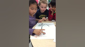 1st Grade OzoBots