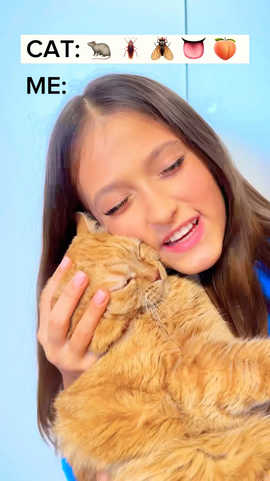 Love has no boundaries ?? #catlover ?