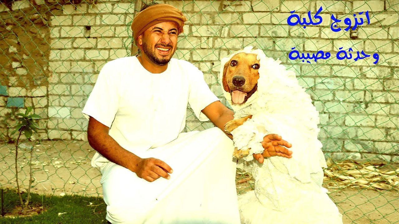 اغرب رجل مصري يتزوج كلبة حقيقة الخبر