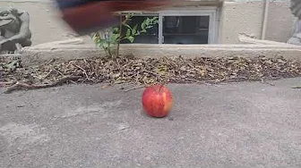 An Apple and a Crush Per Day