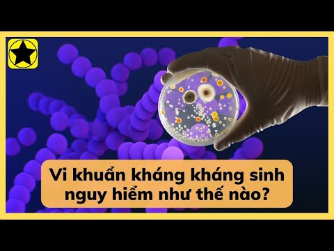 Video: Tại sao vi khuẩn cổ lại kháng thuốc kháng sinh?