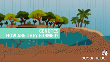 Are cenotes fresh or saltwater?