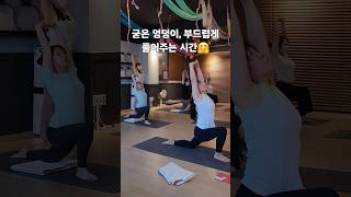 #굳은엉덩이풀기 #고관절이완 #엉덩이스트레칭 #힙오픈요가 #힙스트레칭 #요가로풀기 #엉덩이긴장완화 #로우런지 #장요근이완 #앉아서일하는사람들 #요가스트레칭 #하체이완 #유연성개선