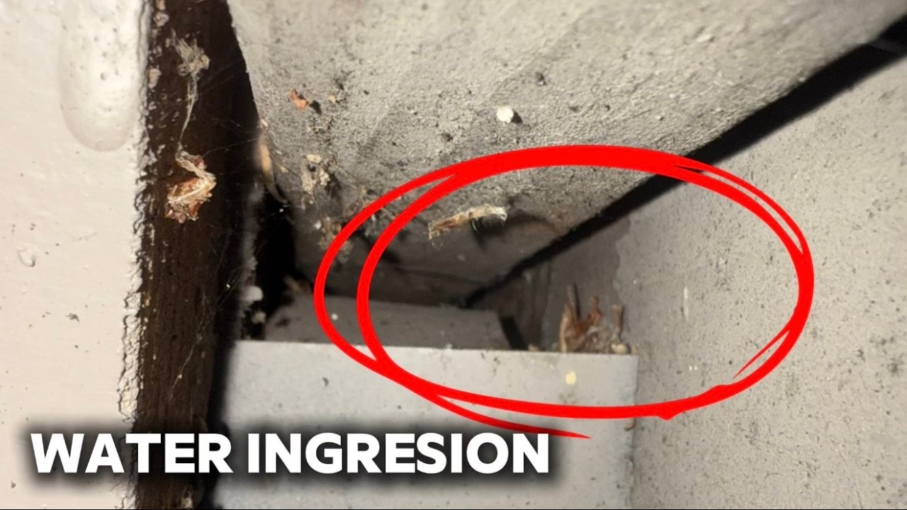 How to Inspect an Asphalt Shingle | Saanich, BC