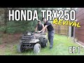 1987 Honda TRX250 ATV Revival Episode 1 - Will It Run And Drive?