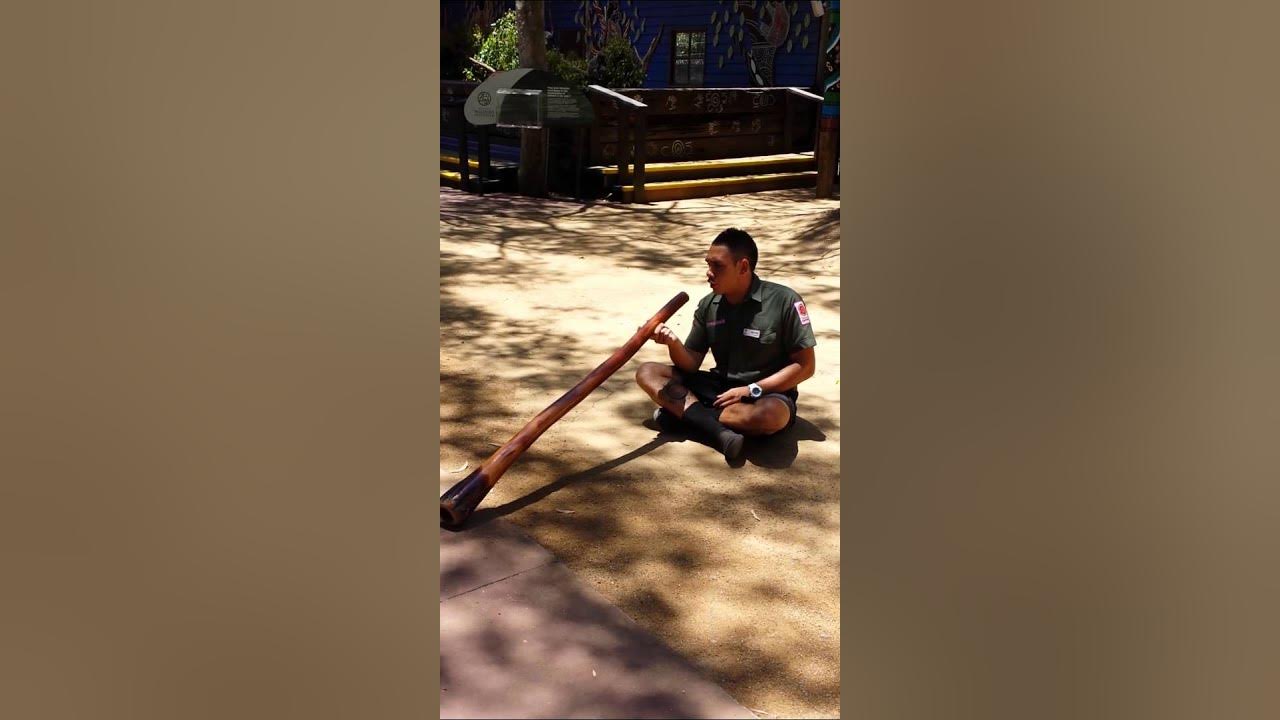 Didgeridoo player YouTube