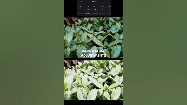 How to edit moody green tone nature 🌿 in VN Editor #howtoedit #vnvideoeditor #chanskfilms #shorts