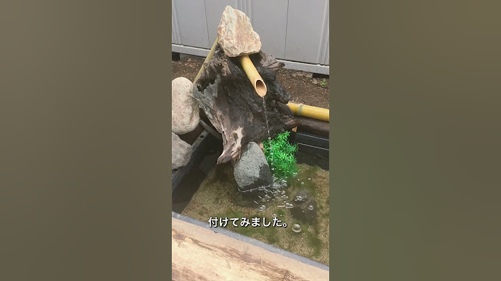 「庭にメダカ池製作」ビオトープ　自作池　メダカ飼育　金魚