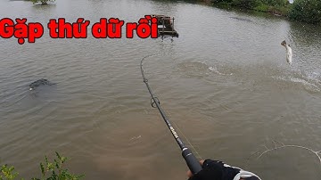 Săn bắt và ẩm thực | Câu cá chẽm thiên nhiên và cái kết đụng hàng khủng phần 1