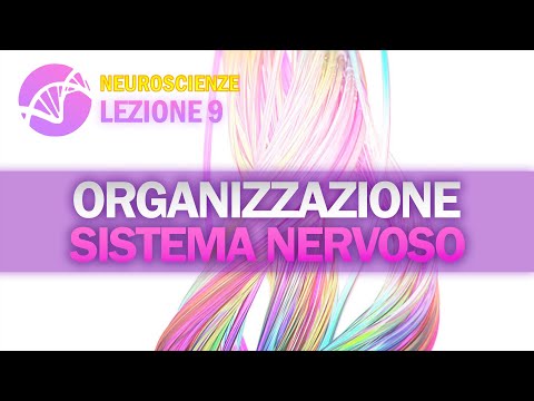 Organizzazione del Sistema