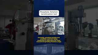 This mineral processing test is a flotation test for phosphate ore.