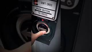 The Queens Corgi Edit 2