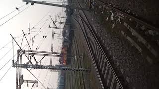 Relgadiya Roj Avye