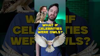 What if celebrities were OWLS? #impressions