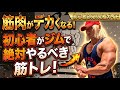 初心者がジムで絶対やるべき筋トレ!【筋トレ初心者向け🔰】 #筋トレ #ダイエット #ジム #workout #bodybuilding #fitness #ボディビル #筋肉