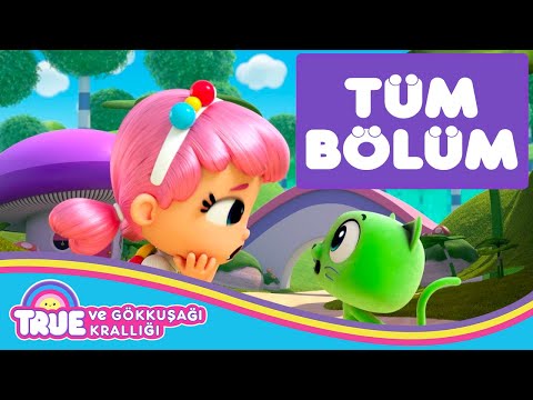 Kozmik Hapşırık - TAM BÖLÜM - True ve Gökkuşağı Krallığı 🌈  Çizgi Film - Cartoon Network