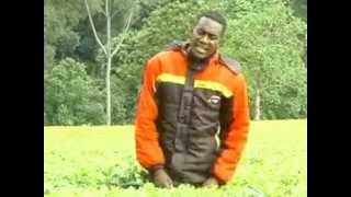 Lakwetab belgut-Fortenan-Kalenjin Song