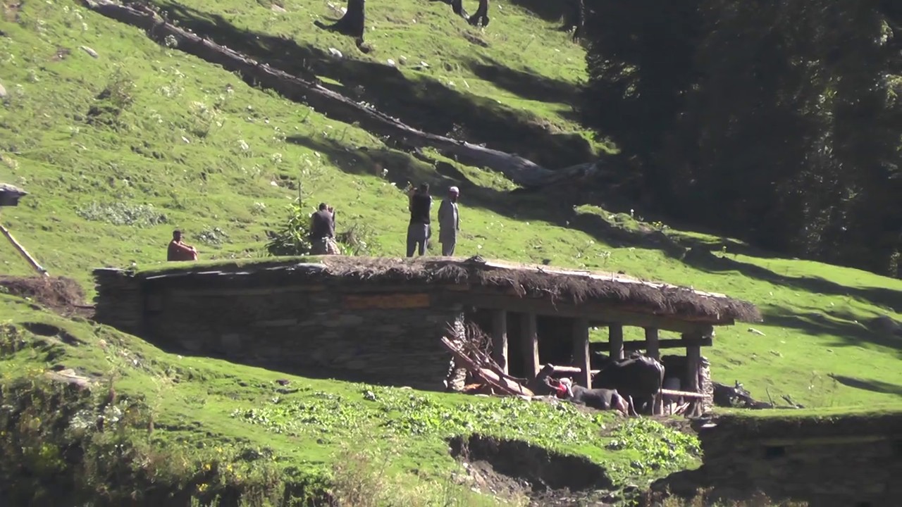 gujjar Tohk khun wali //surankote poonch //pir panjal range//jammu and