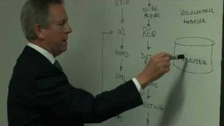 It Systems Implementation  Criteria For Success