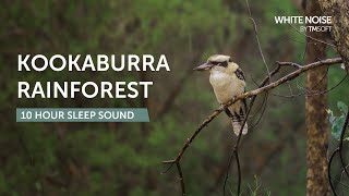 Kookaburra Rainforest Rain - 10 Hour Sleep Sound - Black Screen