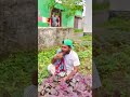 লাল শাক সেই স্বাদ #shorts #funny #comedy