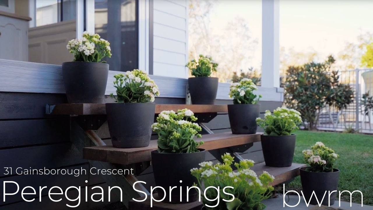 CINEMATIC real estate video of this IMMACULATE, POOL HOME in Peregian Springs, QLD